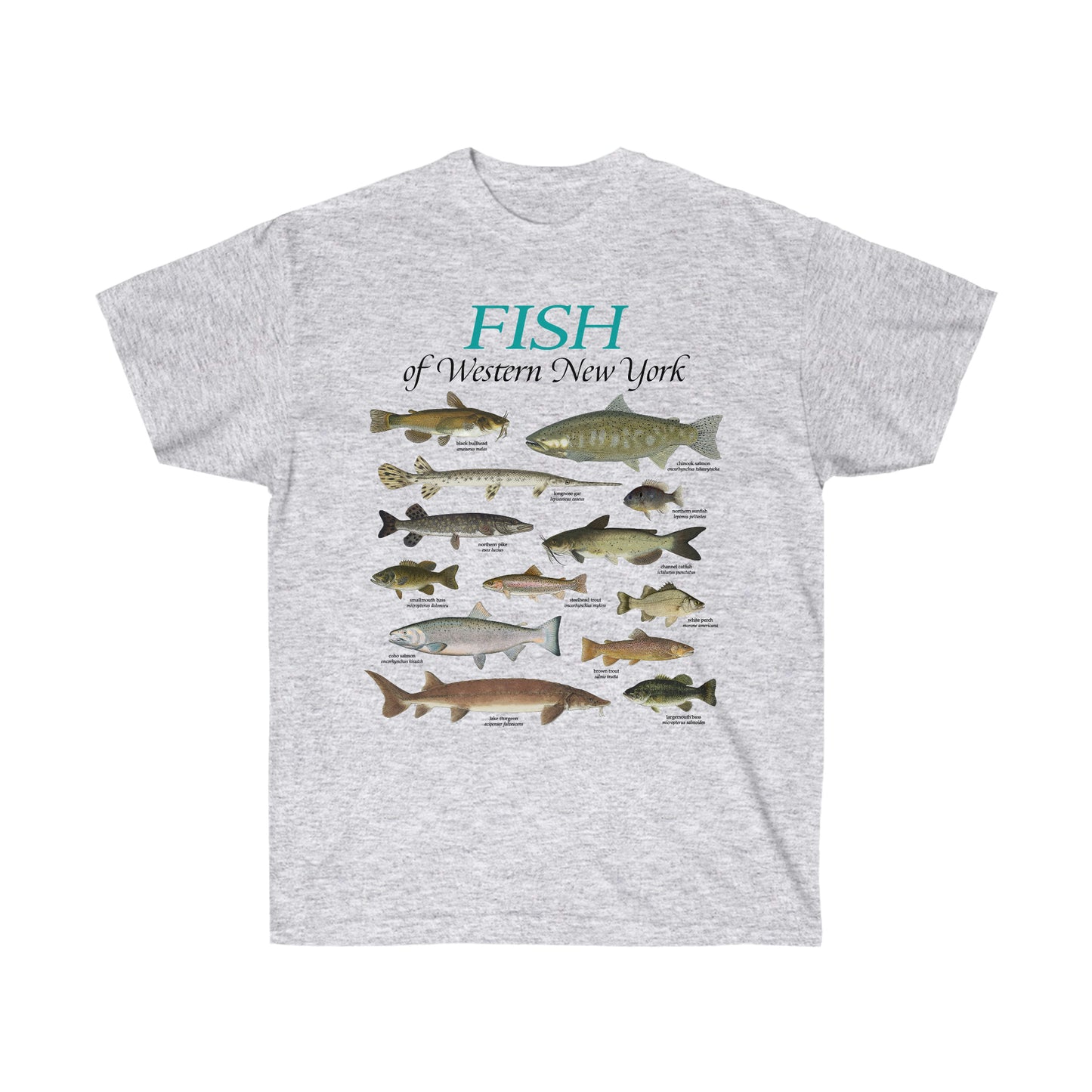 Fish of WNY Tee